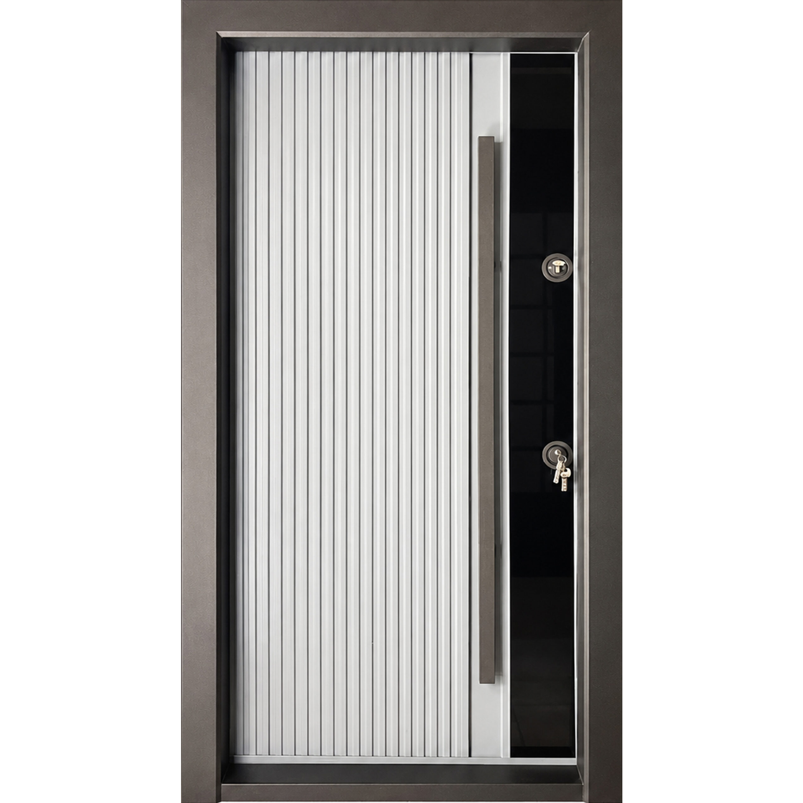 درب ضدسرقت فلزی – کد: L 1004